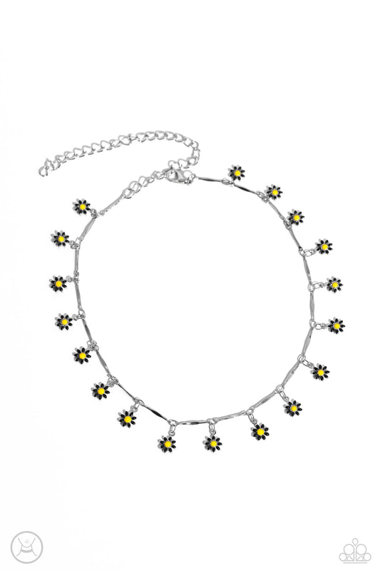 Delicate Display - Black Choker